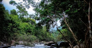 Cập nhật thông tin dự án khu du lịch sinh thái tại Vườn Quốc gia Tam Đảo