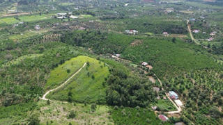 Lâm Đồng: Cảnh báo lừa đảo liên quan đến lĩnh vực đất đai