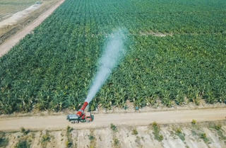 Cổ phiếu khuyến nghị hôm nay 13/7: KSB, HAG và AST