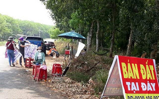 Nhà đầu tư bất động sản đang cắt lỗ hay cắt lãi?