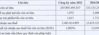 Đầu tư Phúc Hậu báo lỗ hơn 5 tỷ, nợ trái phiếu gần 400 tỷ đồng