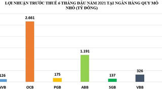 Đằng sau khối lợi nhuận 'khủng' tại các ngân hàng quy mô nhỏ