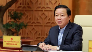 Phó thủ tướng: Rà soát để áp dụng thuế lũy tiến với đất bỏ hoang