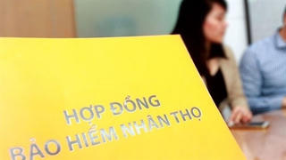 Bán bảo hiểm có thu nhập bình quân cao nhất cả nước