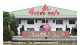 Đối tác Mỹ phá sản,May Sông Hồng ước thu được 1/3 nợ