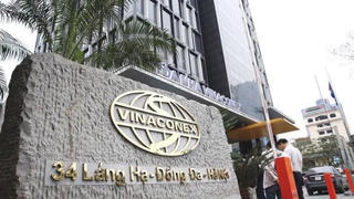 Năm 2025, Vinaconex dự kiến doanh thu đạt trên 15 nghìn tỷ đồng