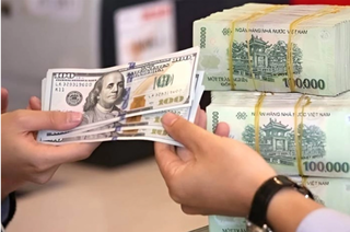 Giá USD ngân hàng lập đỉnh mới, sát mốc 25.000 đồng