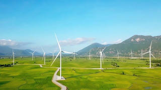 Loạt dự án điện tái tạo 'bế tắc', Thủ tướng yêu cầu khẩn trương gỡ khó