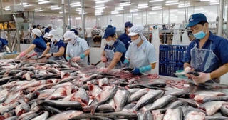 Lợi nhuận sau thuế của Vĩnh Hoàn giảm 59% so cùng kỳ