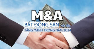 M&A nội tăng mạnh trong năm 2024