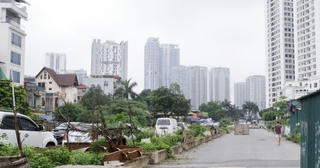 Dự án chậm tiến độ, dân tranh thủ trồng rau