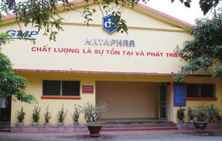 Mắc nhiều vi phạm, Dược phẩm Hà Tây do ông Lê Xuân Thắng làm Tổng Giám đốc bị phạt 