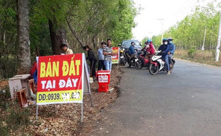 Xây mới 100 cây cầu, sân bay thứ 2 vùng Thủ đô chuyển về Tiên Lãng: Hải Phòng chuẩn bị 'sốt đất' khắp nơi?