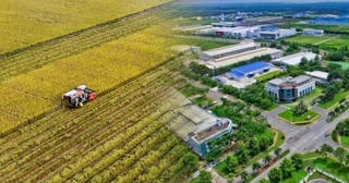 58ha đất trồng lúa tại 'cửa ngõ' TP. HCM bất ngờ được 'khoác áo mới'