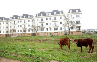 Nhiều nhà đầu tư ‘non tay’ ngậm trái đắng vì cắt lỗ bất động sản 