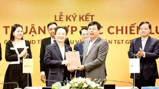 Tập đoàn T&T Group hợp tác chiến lược với 2 tỉnh Lào Cai và Cà Mau