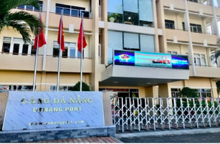Cảng Đà Nẵng: Doanh thu hơn 1.200 tỷ, có 600 tỷ gửi ngân hàng