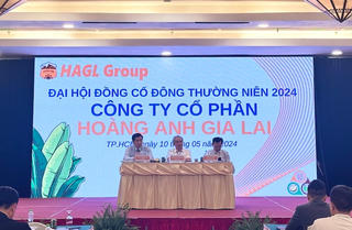 Bầu Đức tính IPO và niêm yết công ty con, không thoái vốn thêm trong 2024