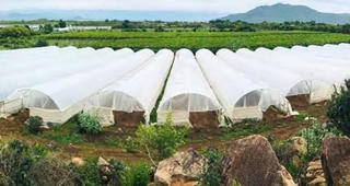 AIG chi 214 tỷ đồng để mua 7,135 triệu cổ phiếu “vua nha đam” GC Food