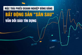Mặc trái phiếu doanh nghiệp đóng băng, bất động sản “sân sau” vẫn dồi dào tín dụng