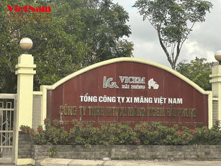 Làm ăn thua lỗ, Vicem cùng 3 công ty con bị thanh tra