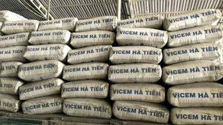 Vicem Hà Tiên lãi hơn 112 tỷ, cao nhất 3 năm