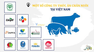 'Đại gia' ngoại chiếm lĩnh ngành chăn nuôi, cuộc chơi tỷ USD tại Việt Nam