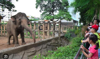 Thảo Cầm Viên Sài Gòn nợ thuế hơn 840 tỷ đồng