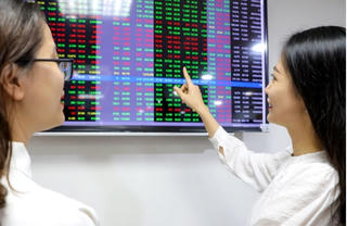 VN-Index tăng hơn 10 điểm, cổ phiếu thủy sản 'vượt vũ môn'