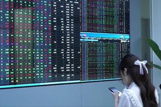 TTCK tiếp tục tạo nên kỷ lục nhưng nhóm BĐS vẫn phân hóa trong phiên 31/5