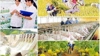 Phấn đấu giải ngân 100% vốn đầu tư công cho các chương trình mục tiêu quốc gia