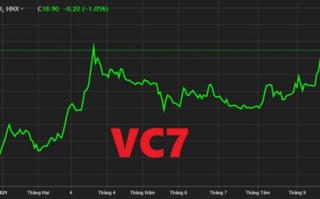 Mắc hàng loạt vi phạm, tập đoàn BGI bị phạt 210 triệu đồng 