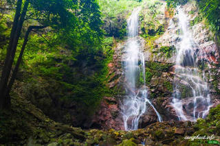 Kon Tum kêu gọi đầu tư phát triển điểm du lịch Vườn quốc gia Chư Mom Ray