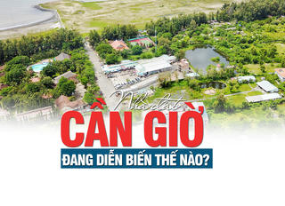 Giá đất Cần Giờ đang diễn biến thế nào?