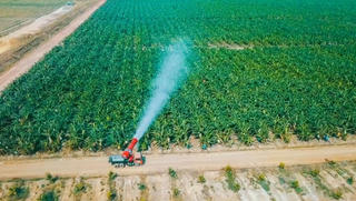 Cổ phiếu khuyến nghị hôm nay (25/9): CTD, QNS và GEG