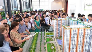 Quyền hạn của Trung tâm giao dịch bất động sản có định hướng vượt khung pháp luật