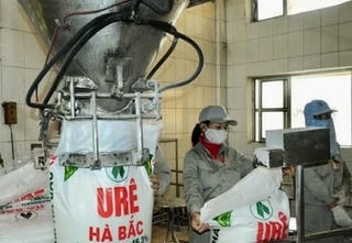 Đạm Hà Bắc lỗ gần 100 tỷ đồng, nợ phải trả gấp 8,5 lần vốn chủ sở hữu