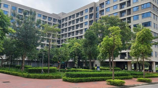 Bộ Xây dựng ưu tiên làm nhà ở xã hội ở những địa phương nào?