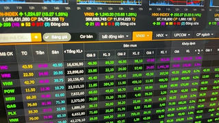 Thủ tướng yêu cầu thanh tra hiện tượng thổi giá, làm méo mó thị trường chứng khoán