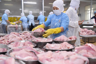 PAN: Thủy sản tăng trưởng mạnh, nông nghiệp chững lại vì chính sách thuế và thiên tai