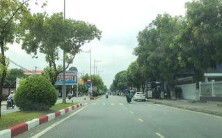 ​Truy nã đặc biệt Chủ tịch Tổng Công ty Cây xanh Công Minh