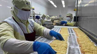 Xuất khẩu tôm 9 tháng: Tăng mạnh nhất trong 3 năm, hướng tới quý 4 nhiều biến động