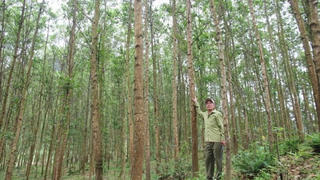 Đề xuất doanh nghiệp mua cây trồng, chăn nuôi, thủy sản chưa qua chế biến không phải nộp thuế VAT