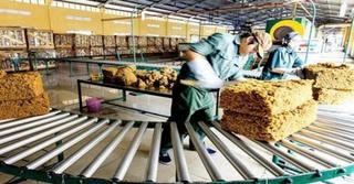 Đồng Nai: Quyết định thanh tra về bảo vệ môi trường tại các cơ sở chế biến mủ cao su