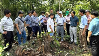 Từ “lồng ghép” đến “tích hợp chiến lược”: Bộ Tài chính mở lối huy động vốn nông thôn mới