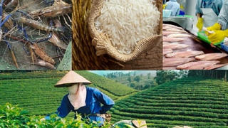 Châu Á thành thị trường nhập khẩu nông sản lớn nhất của Việt Nam