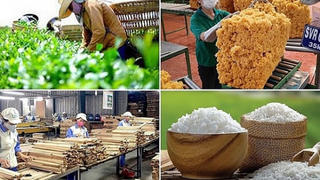 Xuất khẩu nông, lâm, thủy sản đạt hơn 58 tỷ USD