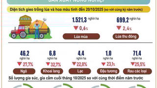 Tình hình kinh tế - xã hội 10 tháng