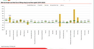 VN-Index lập đỉnh mới, thị trường bước vào giai đoạn phân hóa mạnh trong quý IV/2025