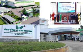 BaF Việt Nam điều chỉnh kế hoạch giải ngân 1.000 tỷ đồng trái phiếu